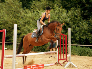 Springreiten